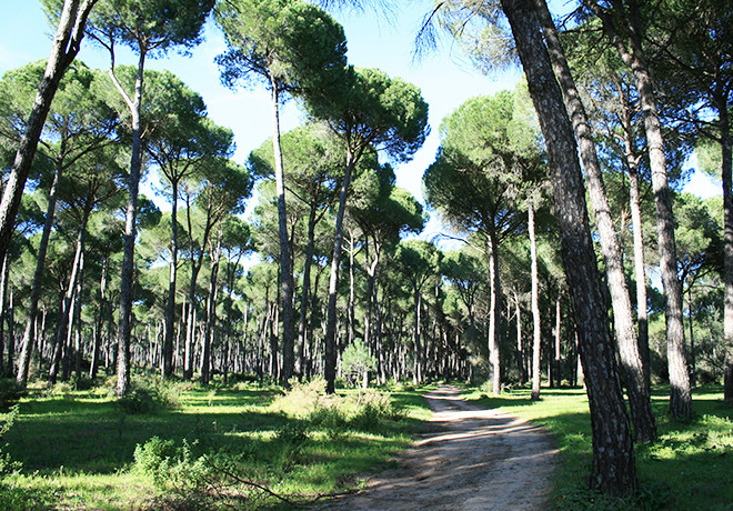 adresse commerciale société à aix en provence les milles